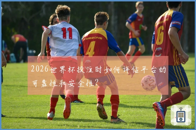 2026世界杯投注时如何评估平台的可靠性和安全性？