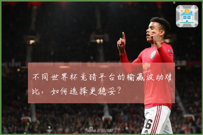 不同世界杯竞猜平台的输赢波动对比，如何选择更稳妥？