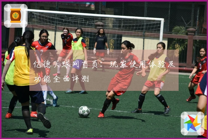 亿德买球网首页：玩家使用体验及功能全面评测