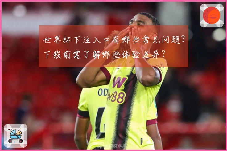 世界杯下注入口有哪些常见问题？下载前需了解哪些体验差异？