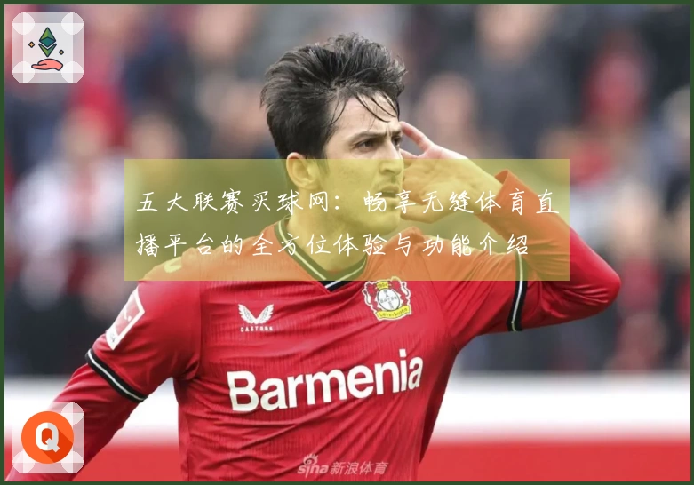 五大联赛买球网：畅享无缝体育直播平台的全方位体验与功能介绍