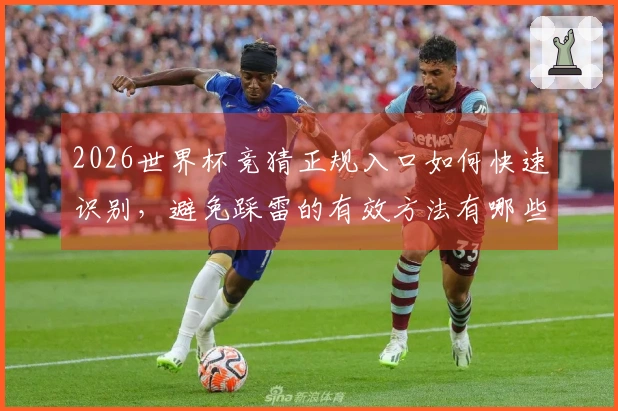 2026世界杯竞猜正规入口如何快速识别，避免踩雷的有效方法有哪些