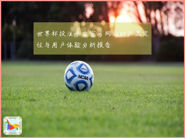 世界杯投注平台官方网站的产品定位与用户体验分析报告