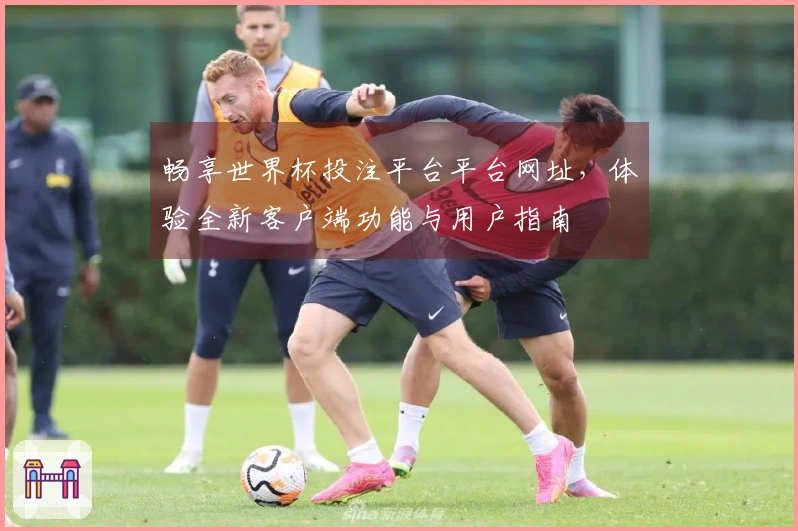畅享世界杯投注平台平台网址，体验全新客户端功能与用户指南