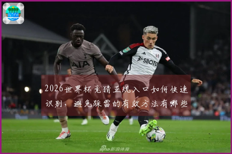2026世界杯竞猜正规入口如何快速识别，避免踩雷的有效方法有哪些